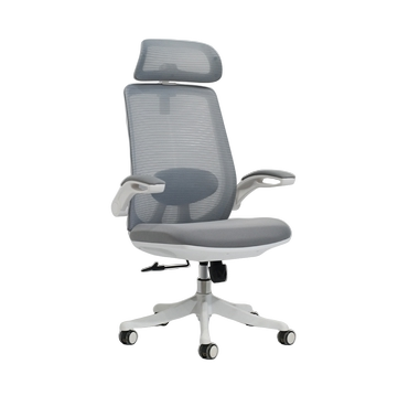 RITZ HB (Back Grey, Frame White) – High Back Ergonomic Chair
